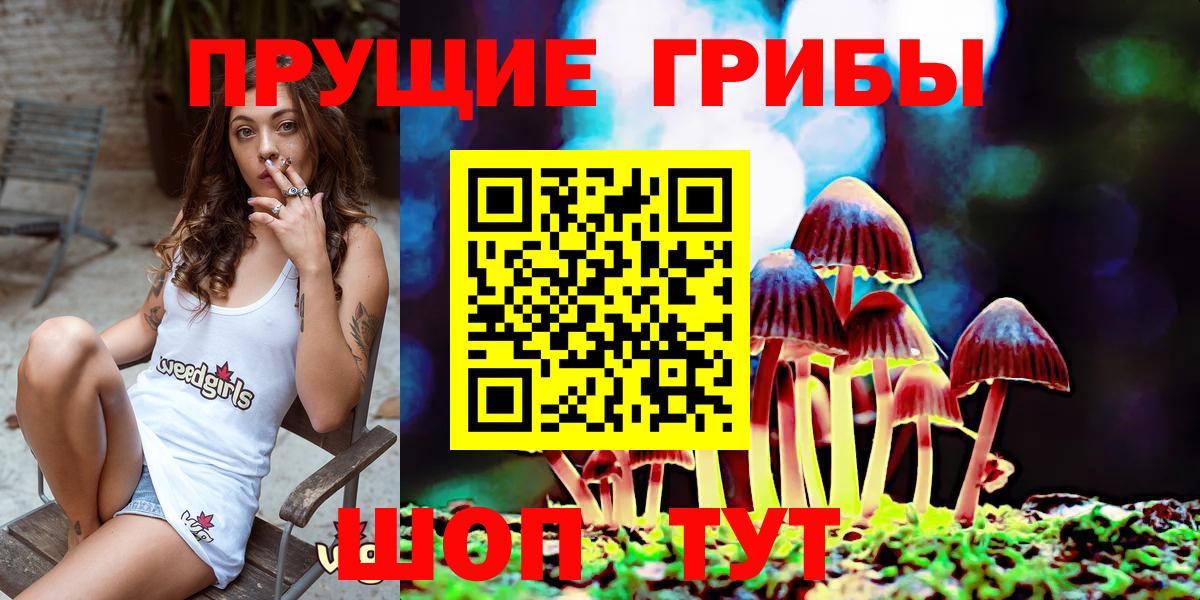 Псилоцибиновые грибы Magic Shrooms  Вход с VPN  Новороссийск 