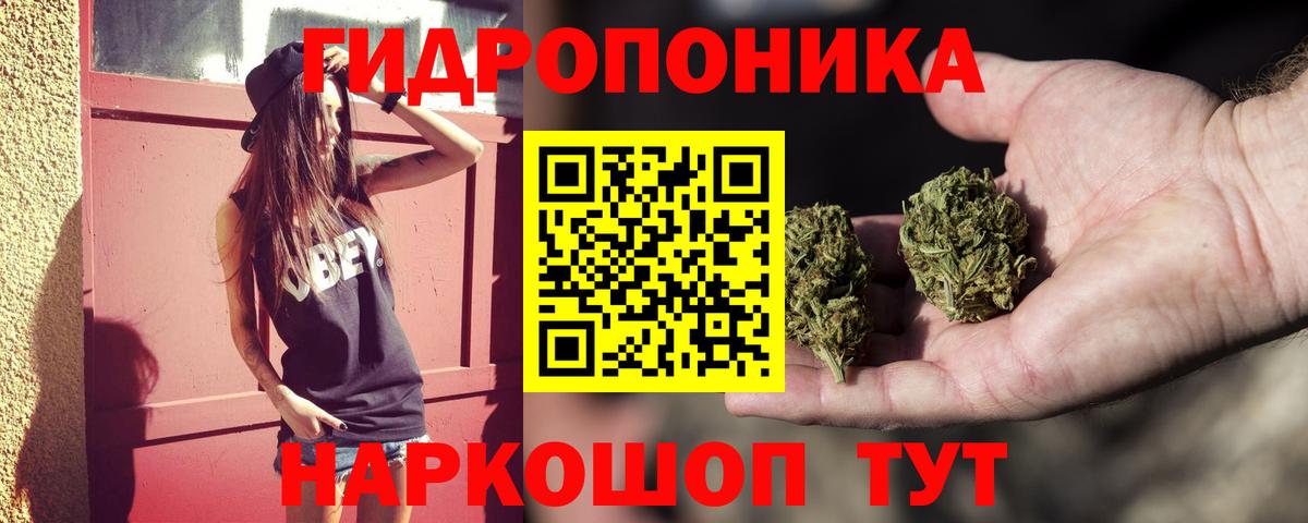 Бошки Шишки Amnesia Новороссийск